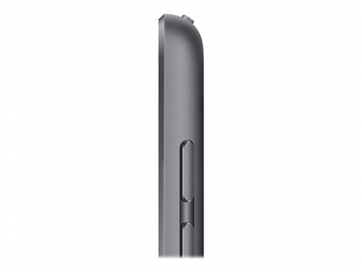 Apple iPad 10,2 (2021) - Wi-Fi + Cellular (SIM) - 256 GB - Grau