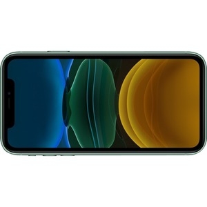 Apple iPhone 11 128 GB Grün MHDN3ZD/A