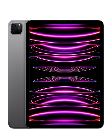 Apple iPad Pro (2022) 11 - Wi-Fi only - 1 TB - Space Grau MNXK3FD/A