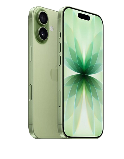 Apple iPhone 17 256 GB Salbei MG6N4ZD/A