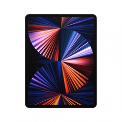 Apple iPad Pro (2021) 12,9 - Wi-Fi + Cellular - 256 GB - Space Grau