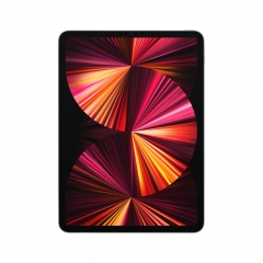 Apple iPad Pro (2021) 11 - Wi-Fi + Cellular - 256 GB - Space Grau