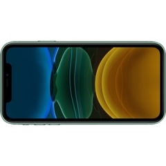 Apple iPhone 11 64 GB Grün MHDG3ZD/A