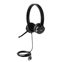Lenovo 100 Stereo USB Headset 4XD0X88524